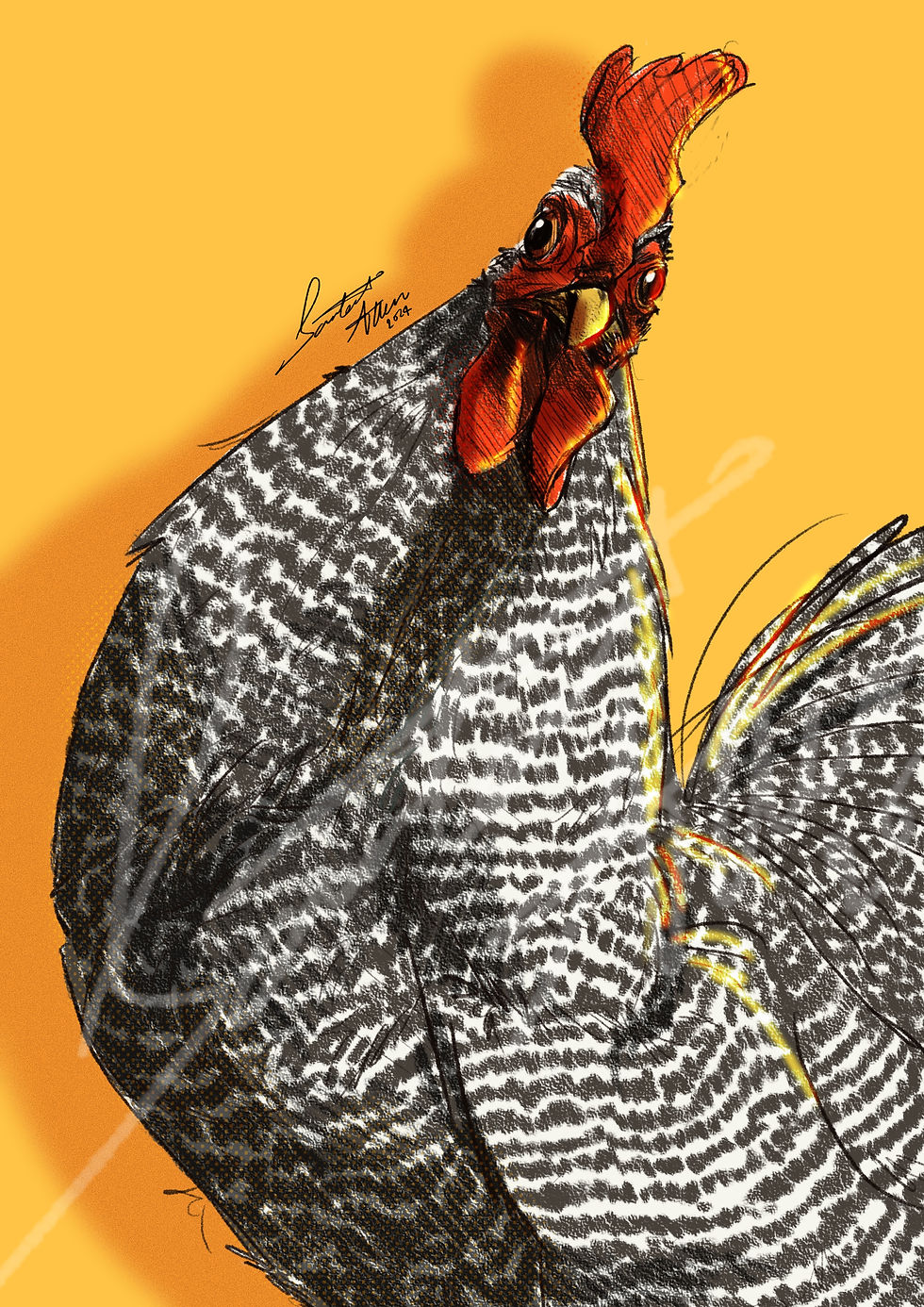 Chickens Unleashed New Collection - Sneak Peak