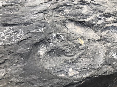 Unique Stone Slabs for One-of-a-Kind Tables