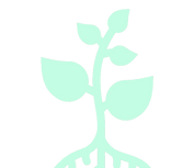 Pflänzchen IFEP mint.png