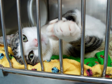 Canada 150 news provided by CNW