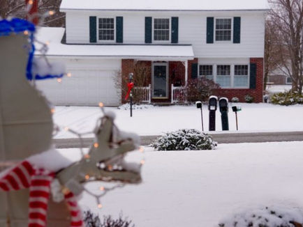 West Island Christmas Tree Collection Schedules 2021