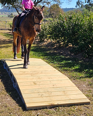 WIX - Equitation.png