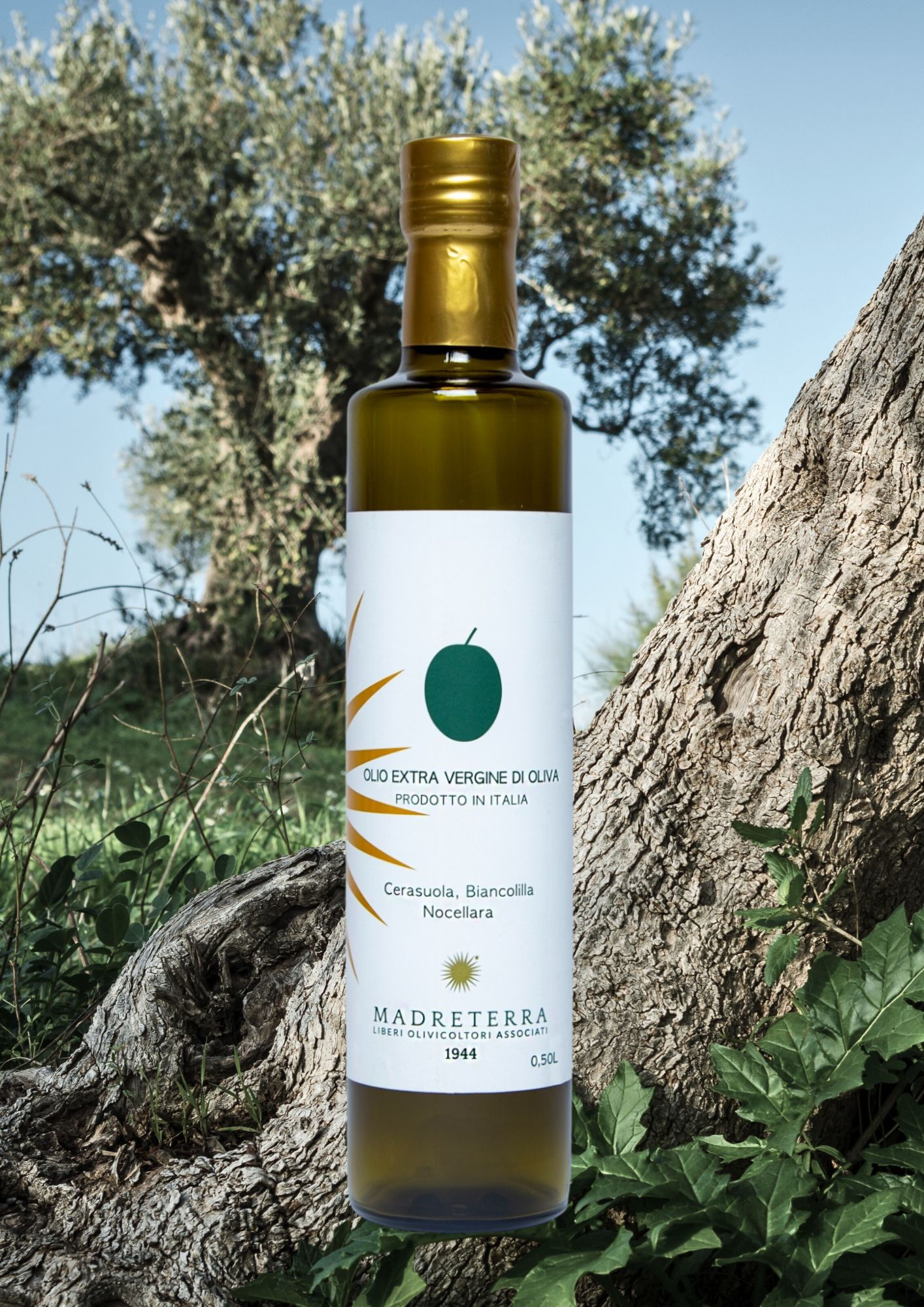 Extravergine di Oliva  100% Italiano - 500ml