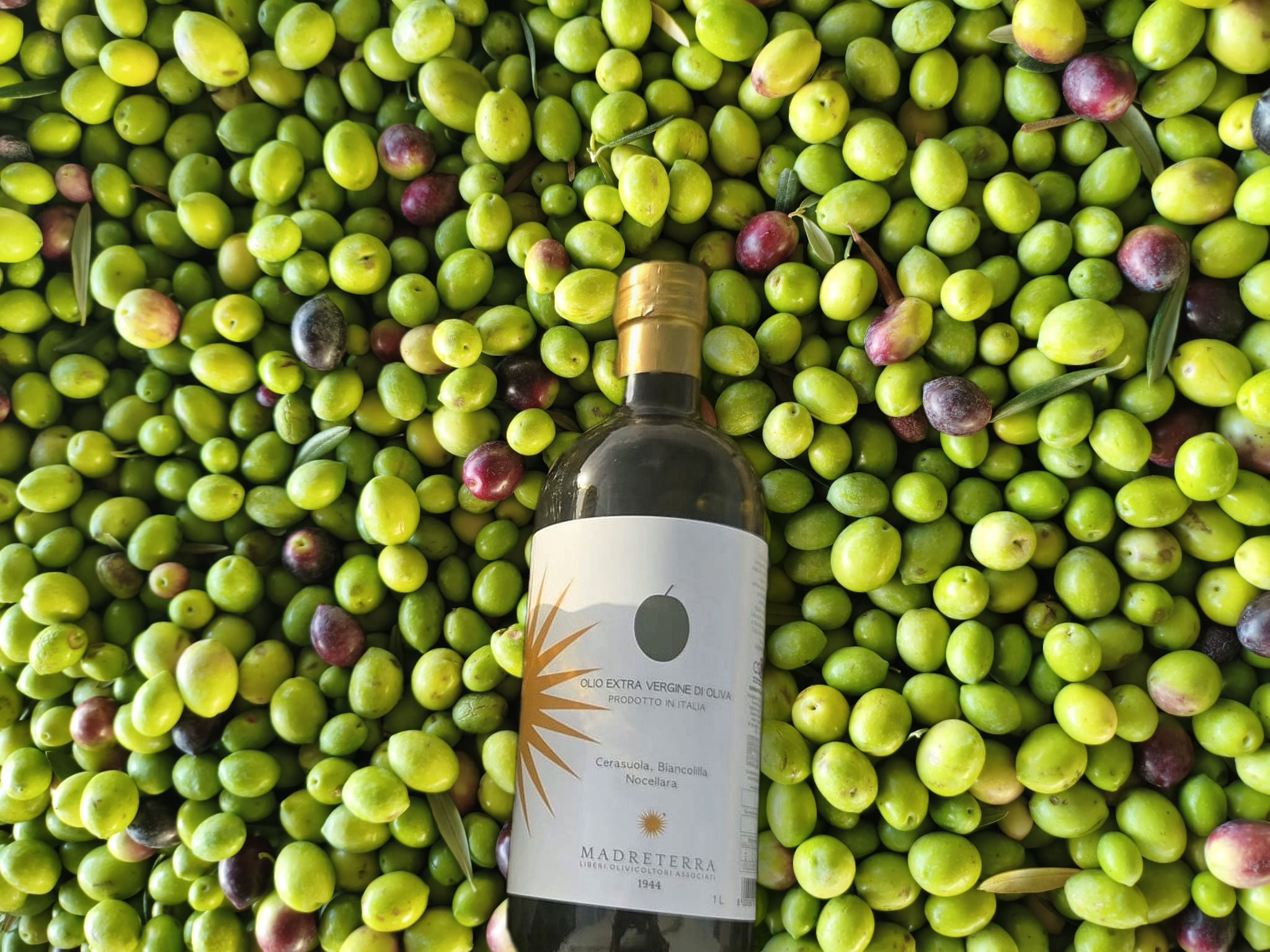 Olio novello non filtrato — confezione da 2 bottiglie