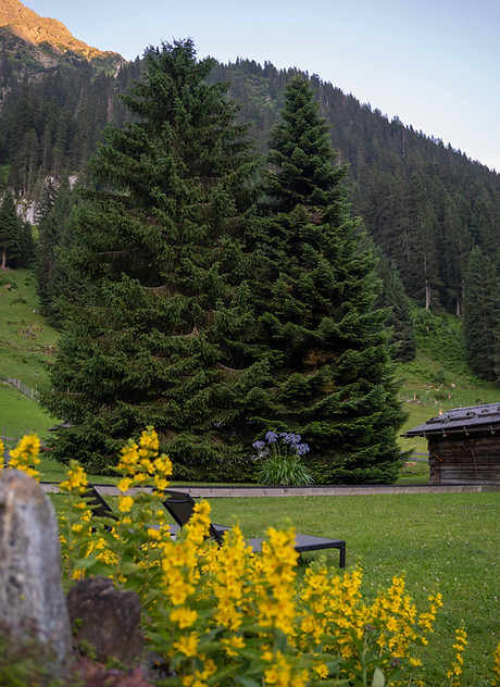 C_Slowdown Hotels_HEIMSPITZE_THE_INSIDER_2025252.jpg