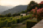 C_Slowdown Hotels_LA DARBIA_THE_INSIDER_2025125.jpg