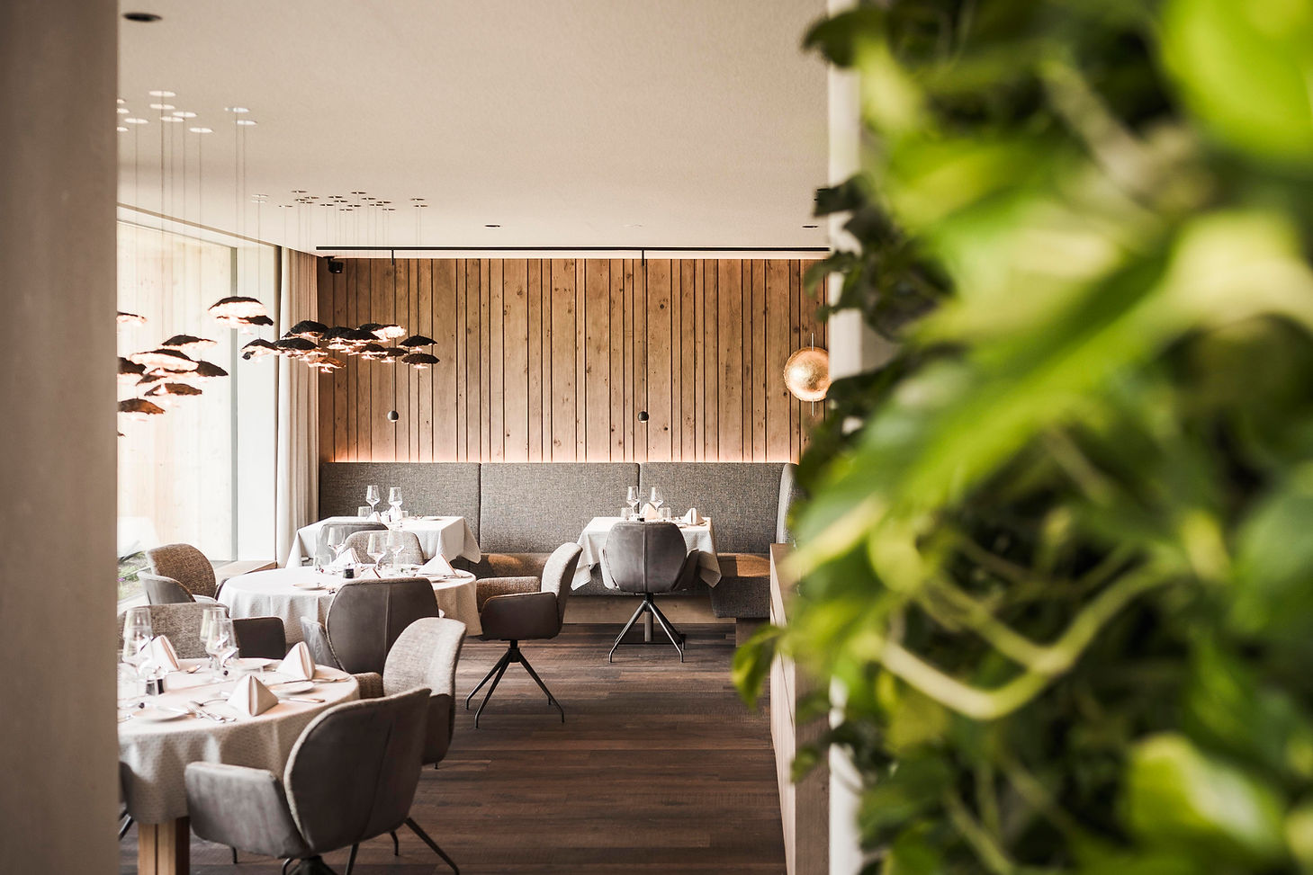 (c) Hannes Niederkofler_HQ-56.jpg