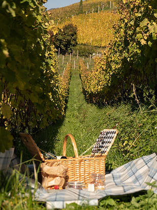 ©_Slowdown Hotels_THE INSIDER_HALLER_2025_Photo credits_Alenka Kürner and Mats Ramus_260.j