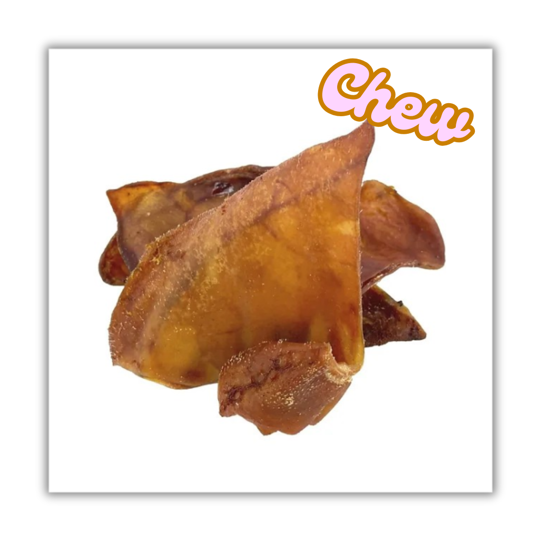 Large Pigs Ear