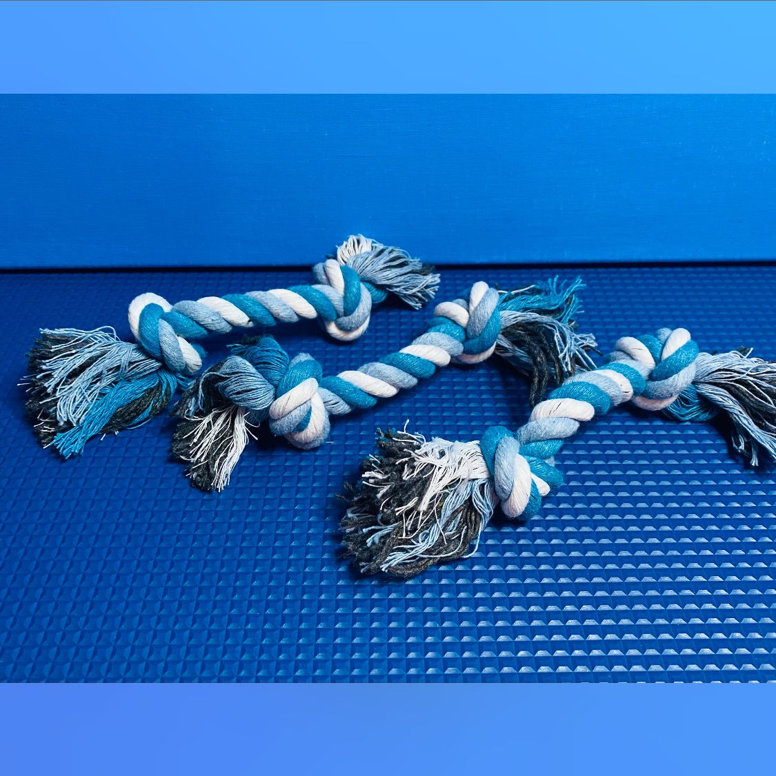 Small blue rope toy