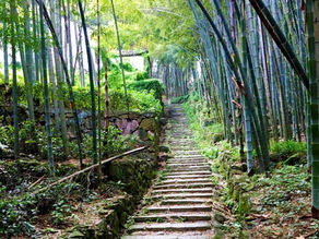 Travel Blog | Spring Hiking in Shangqing Ancient Trail