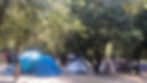 aire camping saint pancrace corte
