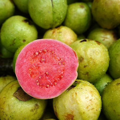 guava.jpeg