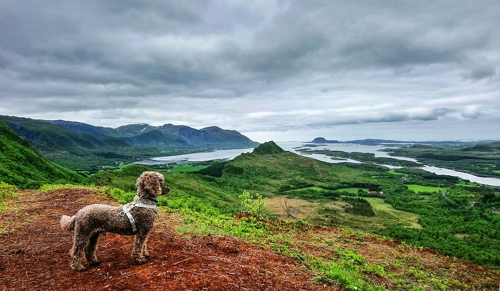 Puddel ser utover på fjellene og havet