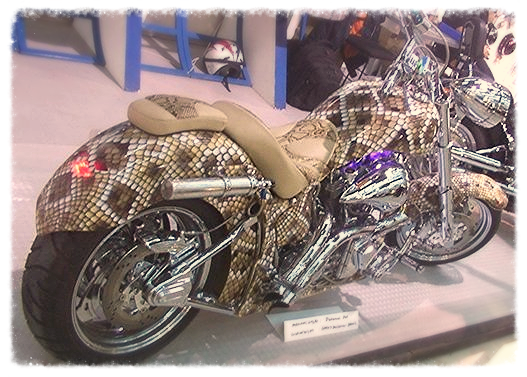 moto cascavel