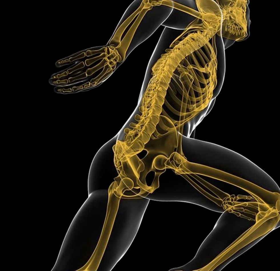 Healing The JOINTS