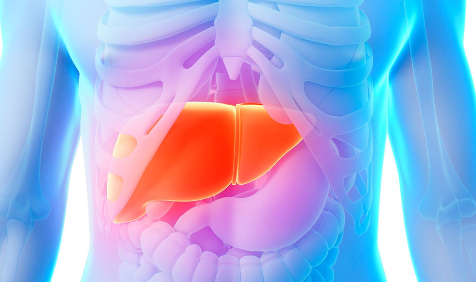 The Wisdom of the Liver:  Learning to Restore Flow