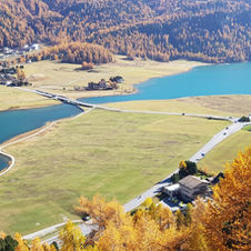 Silvaplanasee