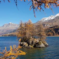 Silsersee