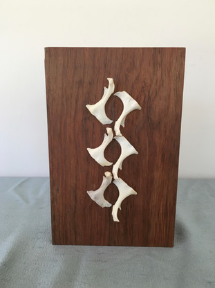 Homage to Winged Ones (flight pattern)