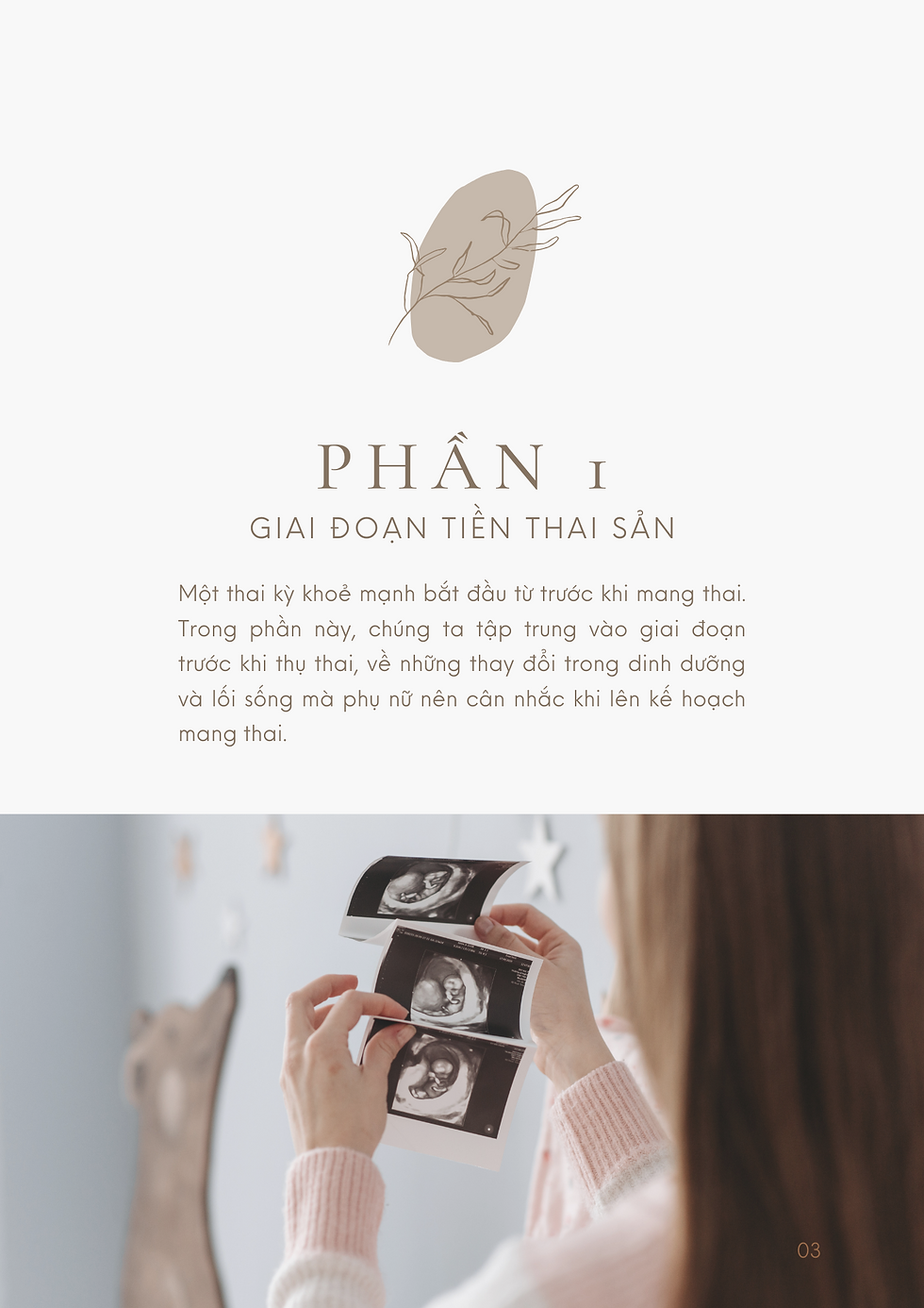 Hình thu nhỏ: Lập trình dinh dưỡng thai kỳ