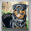 Thumbnail: “Bear” Custom Dog Portrait 