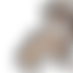 Training for the Real World: 5 Essential Skills Every Dog Needs