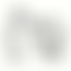 The Trick Mindset: Bringing Lightness and Joy to Everyday Dog Training