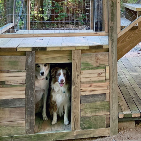 Love Them Like Family, Train Them Like Dogs: