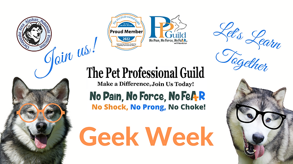 Geek Week (3).png