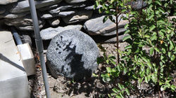 LINE_ALBUM_台泥紅葉_220902_15