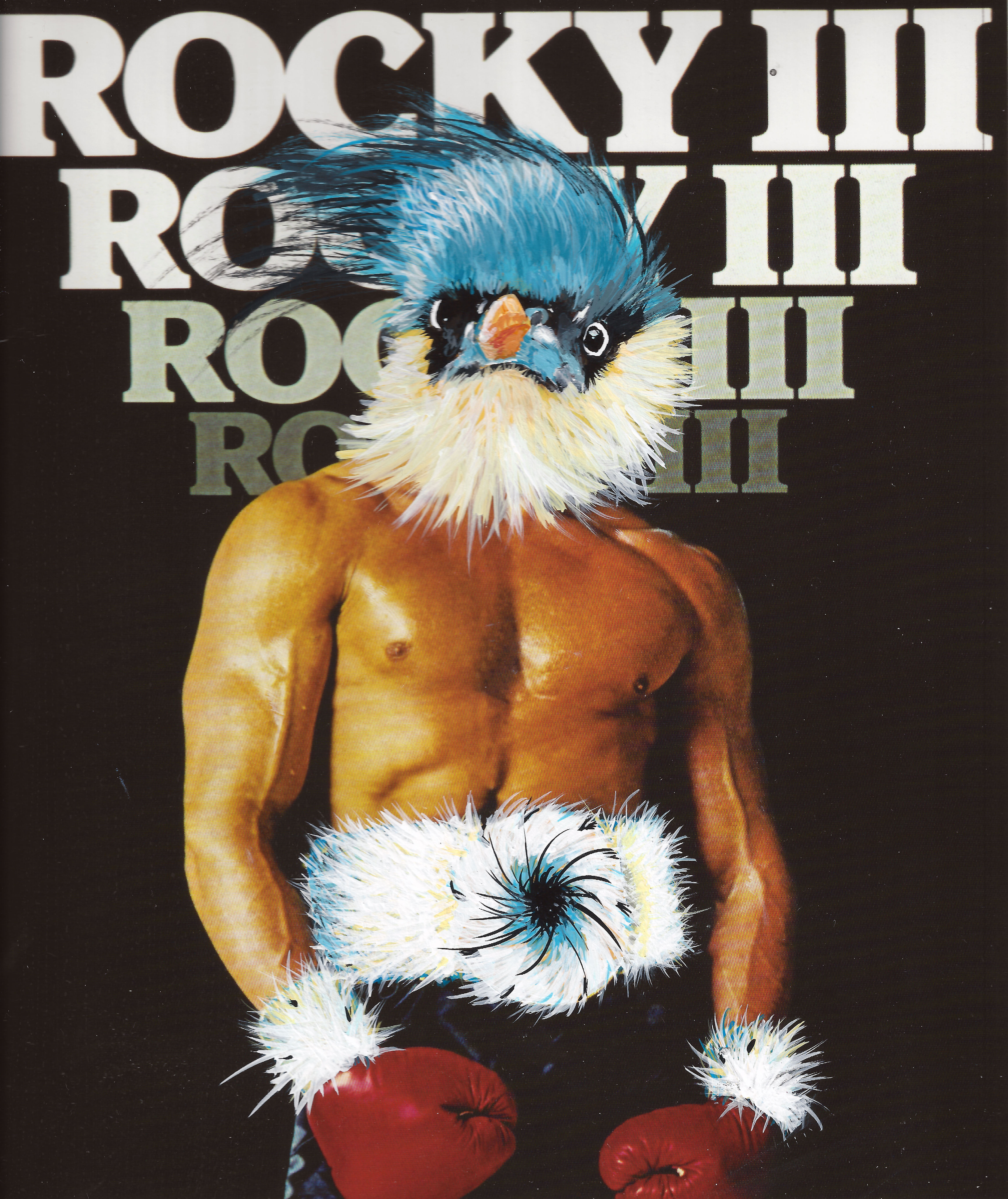 Pamela Beer | Rocky Bird | Acrylic, Altered Photograph, Resin | 9.5x8.5x2" | 275