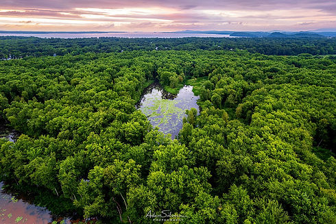 vermont-strong-flood-heart.jpg