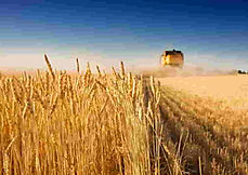 מגרש לתעשייה