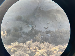 IMG_6126.jpeg