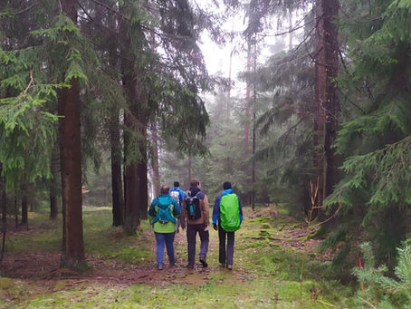 Vier Freunde wandern gemeinsam durch den Wald – Gruppenaktivität für einen gelungenen JGA