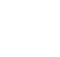 Valid Percent White.png