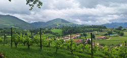 Basque COuntry Private Tour 