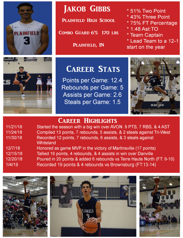 Jakob Gibbs Career Infographic Test