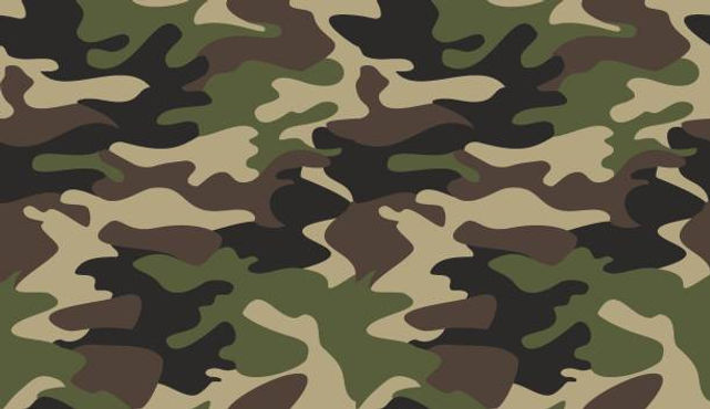 Camo.jpeg