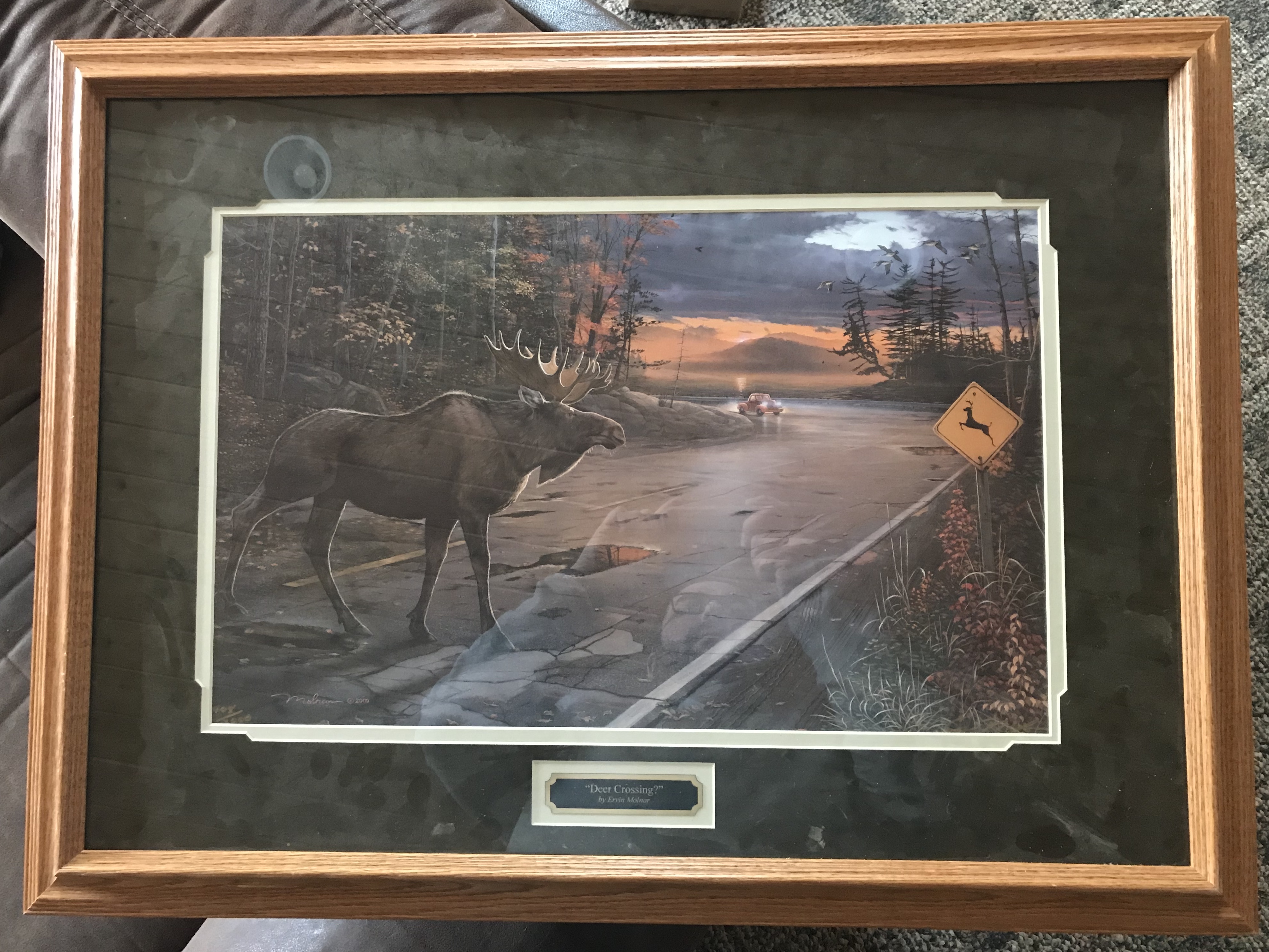 "Deer Crossing?" by Ervin Molnar
