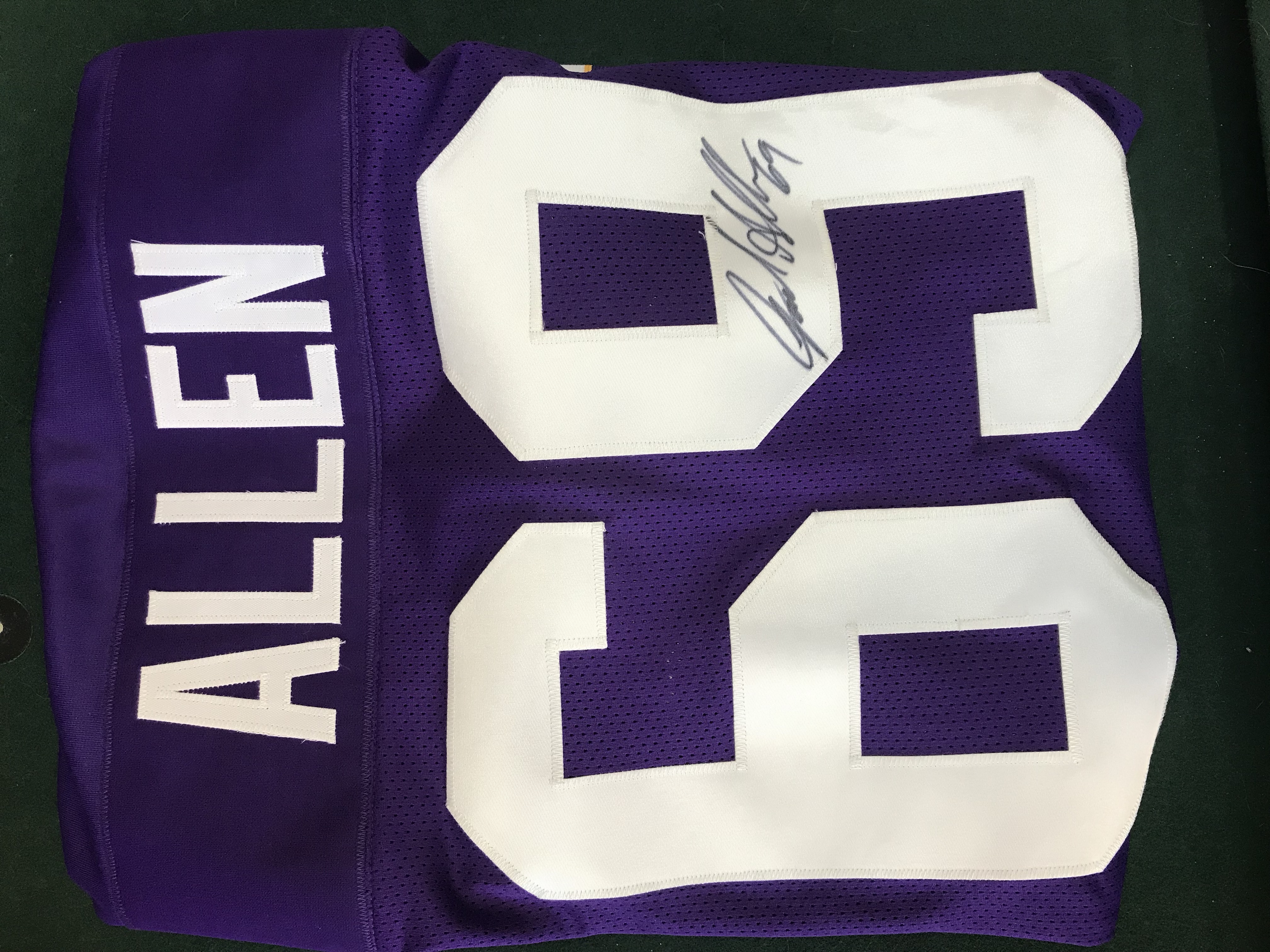 Jared Allen Autographed Jersey