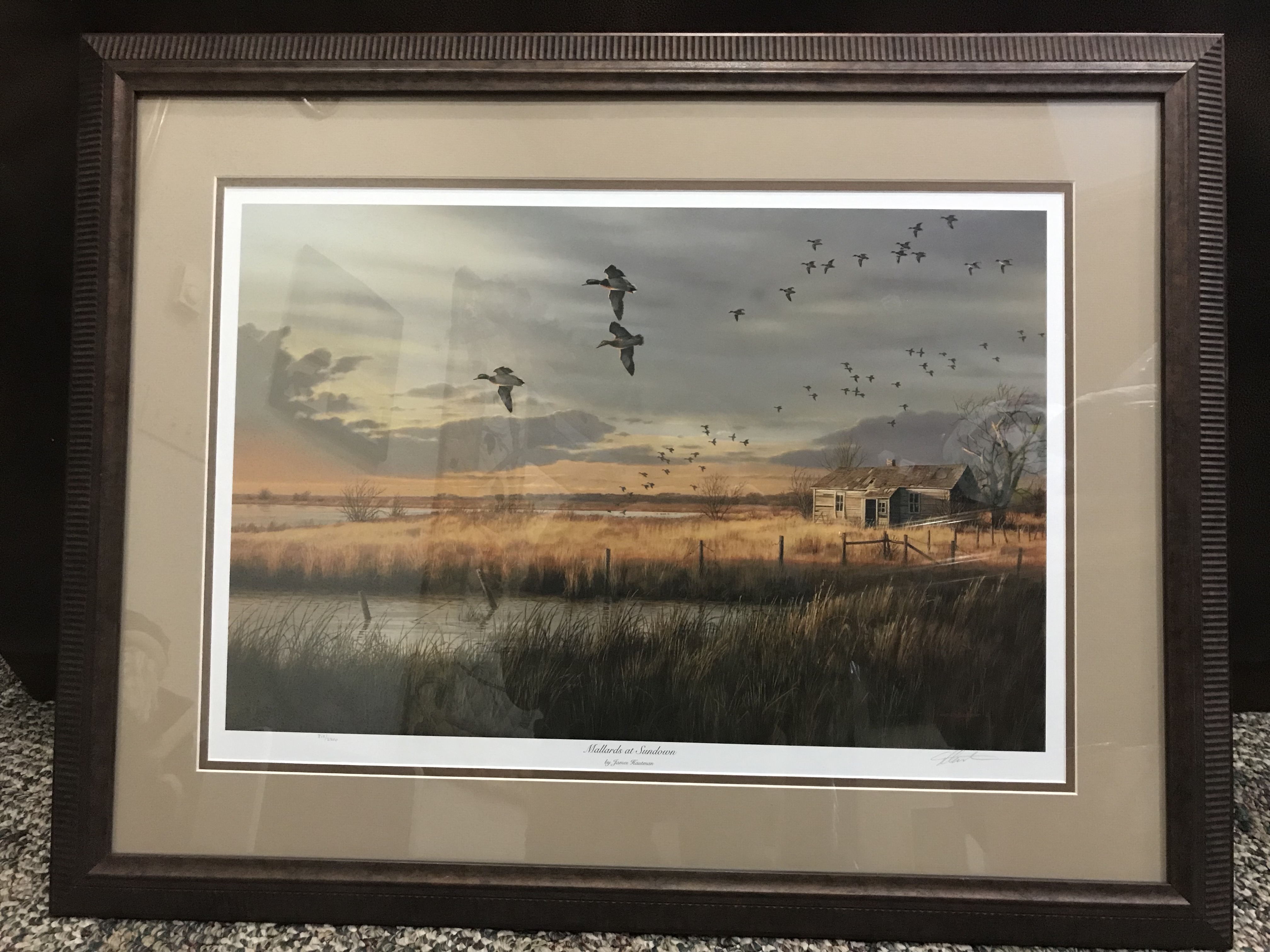 Mallards at Sundown - James Hautman