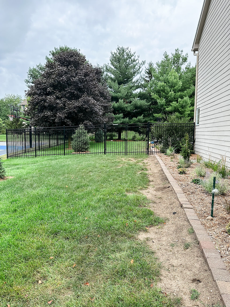 side yard with grass growing in, dirt along plant bed