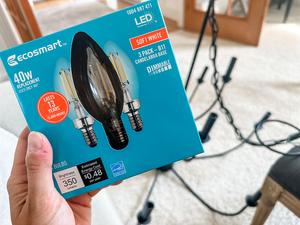 Pack of 40watr bulbs
