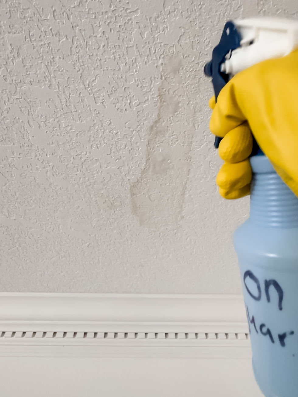 Spraying bleach on ceiling