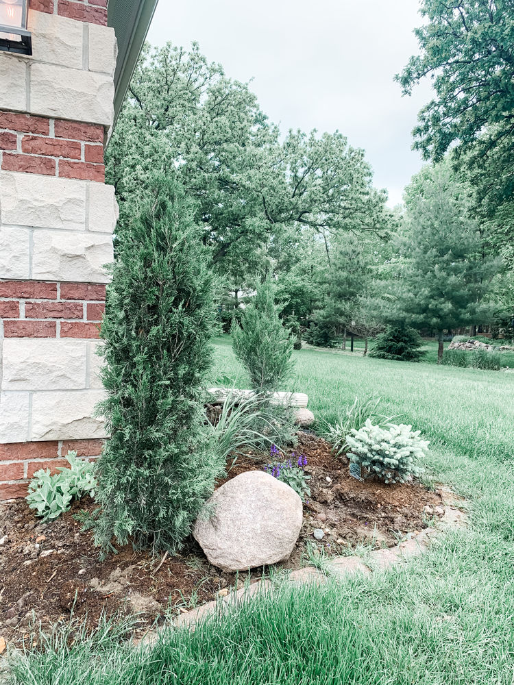 Planting Front Yard Landscaping for Year-Round Color