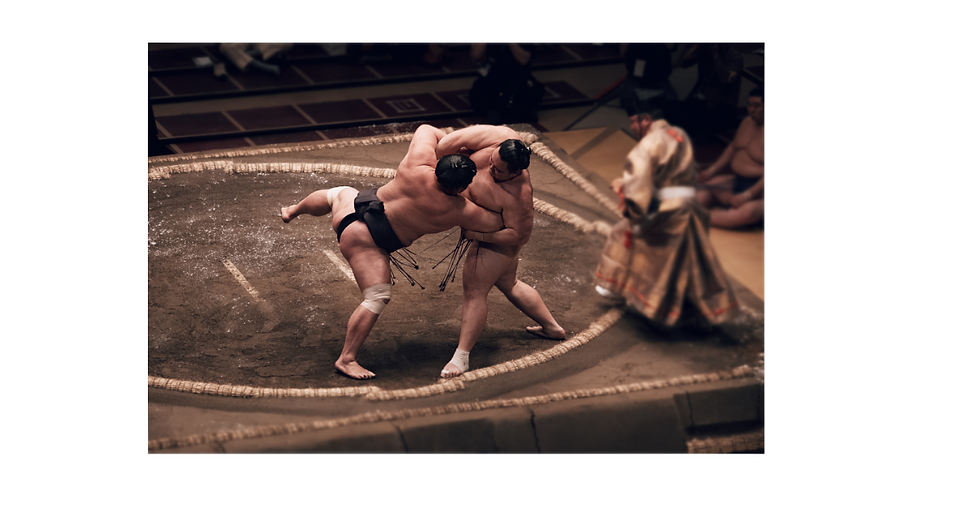 The UK and France Went Wild! The Sumo Overseas Tour a Smash Hit