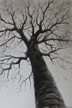 Caresse pour les nuages