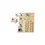 Miniature : Sur les Traces de Darwin - Extension Correspondances